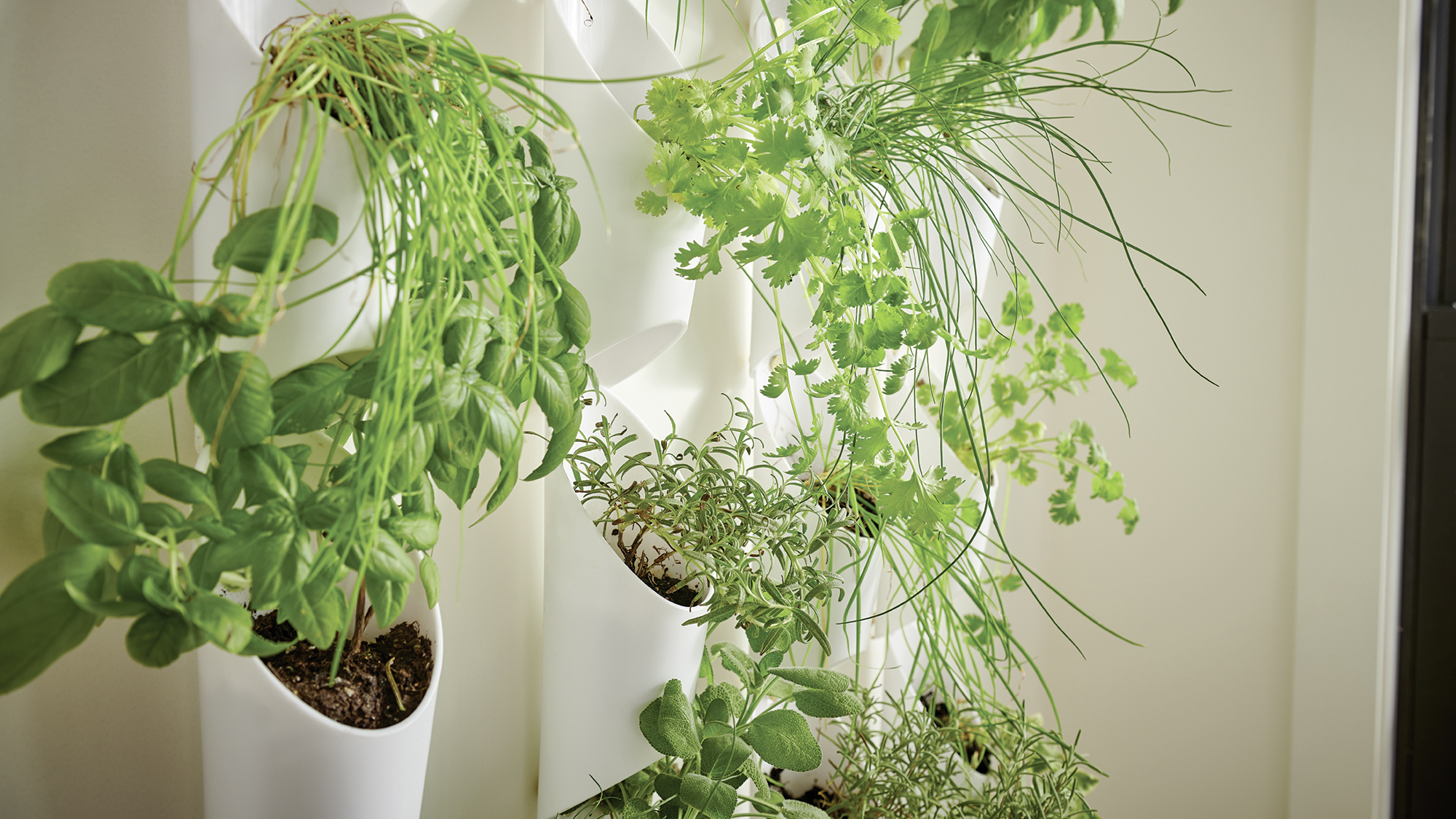 Scandinavian culture is rooted in a deep love of the outdoors.