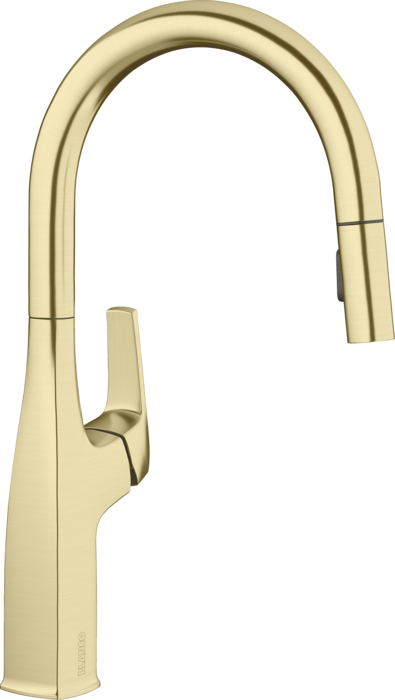 RIVANA HIGH ARC kitchen faucet in Satin Gold