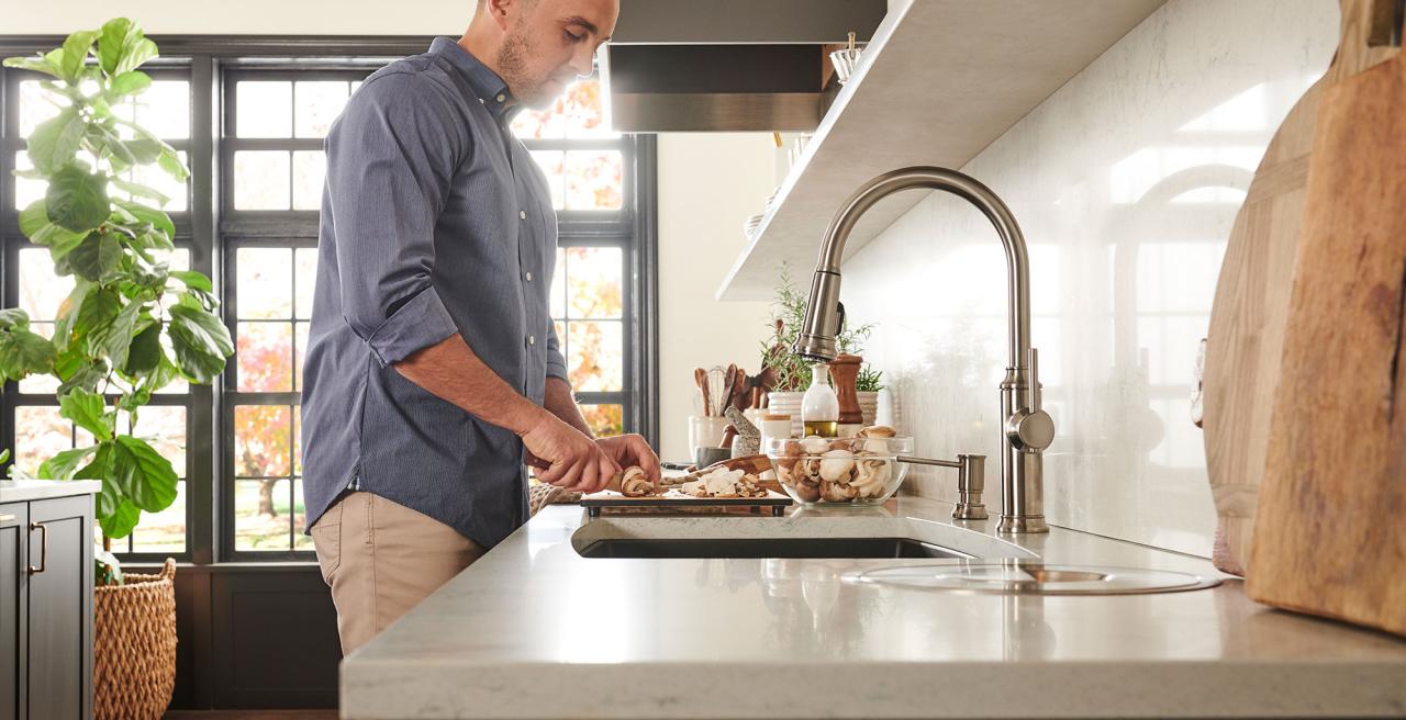 Empressa Kitchen Faucet and Soap Dispenser - Classic Style by BLANCO