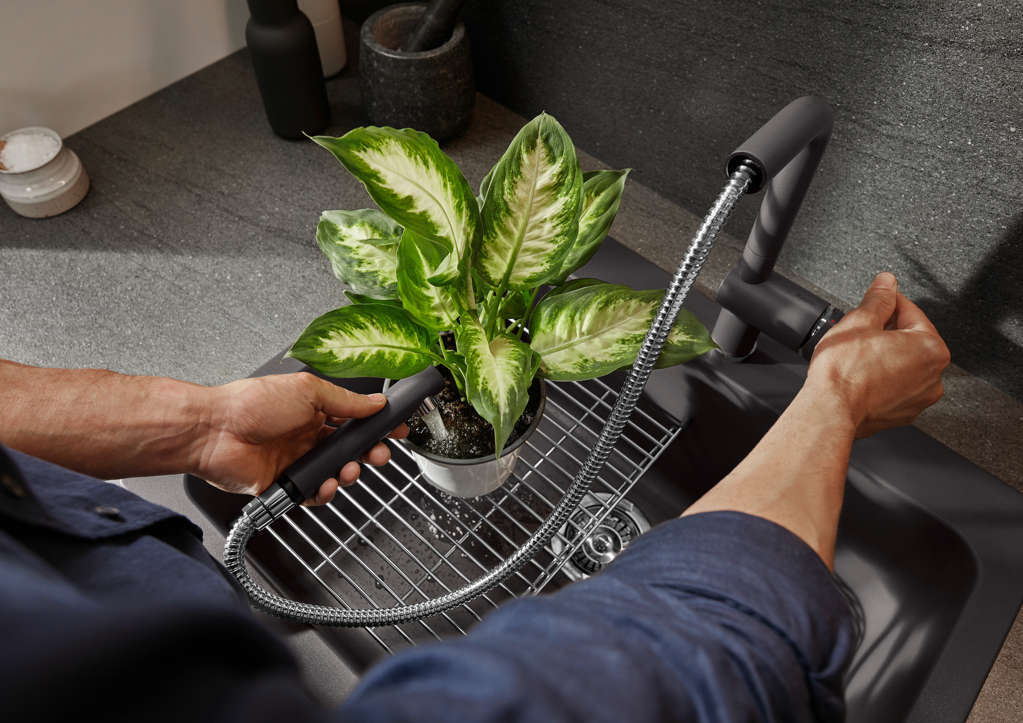 watering plant