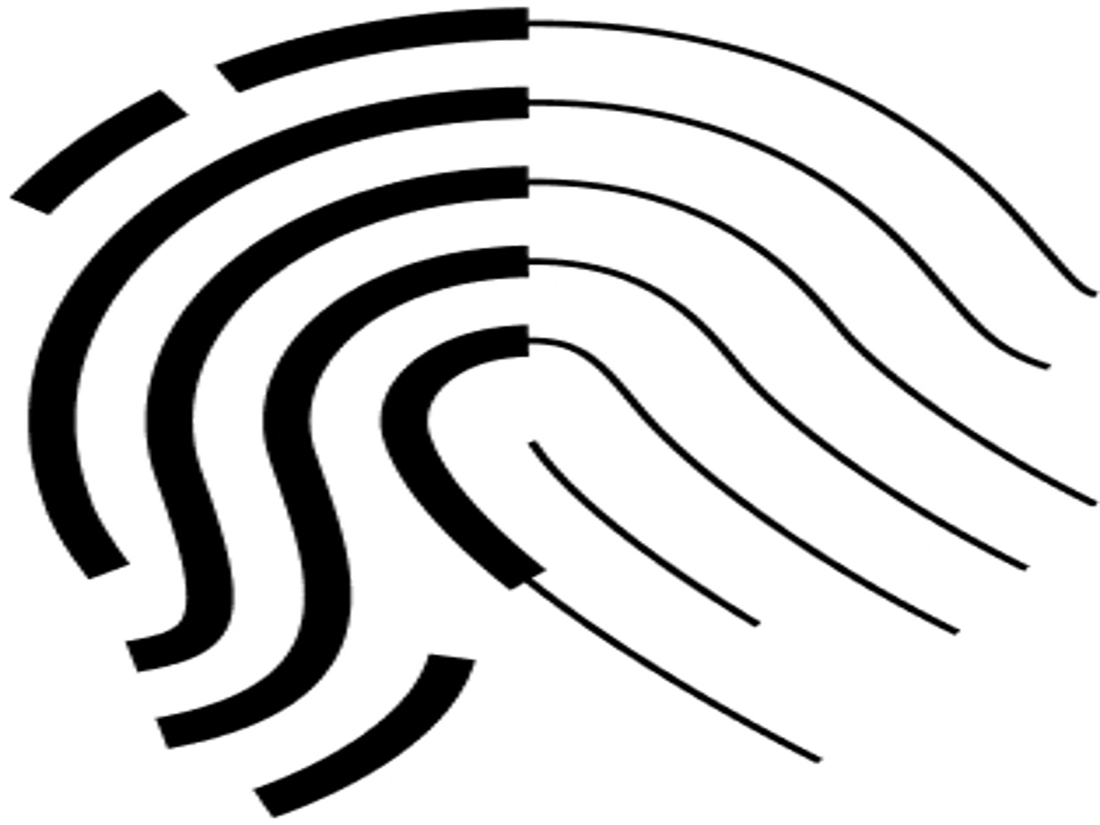 fingerprint illustration
