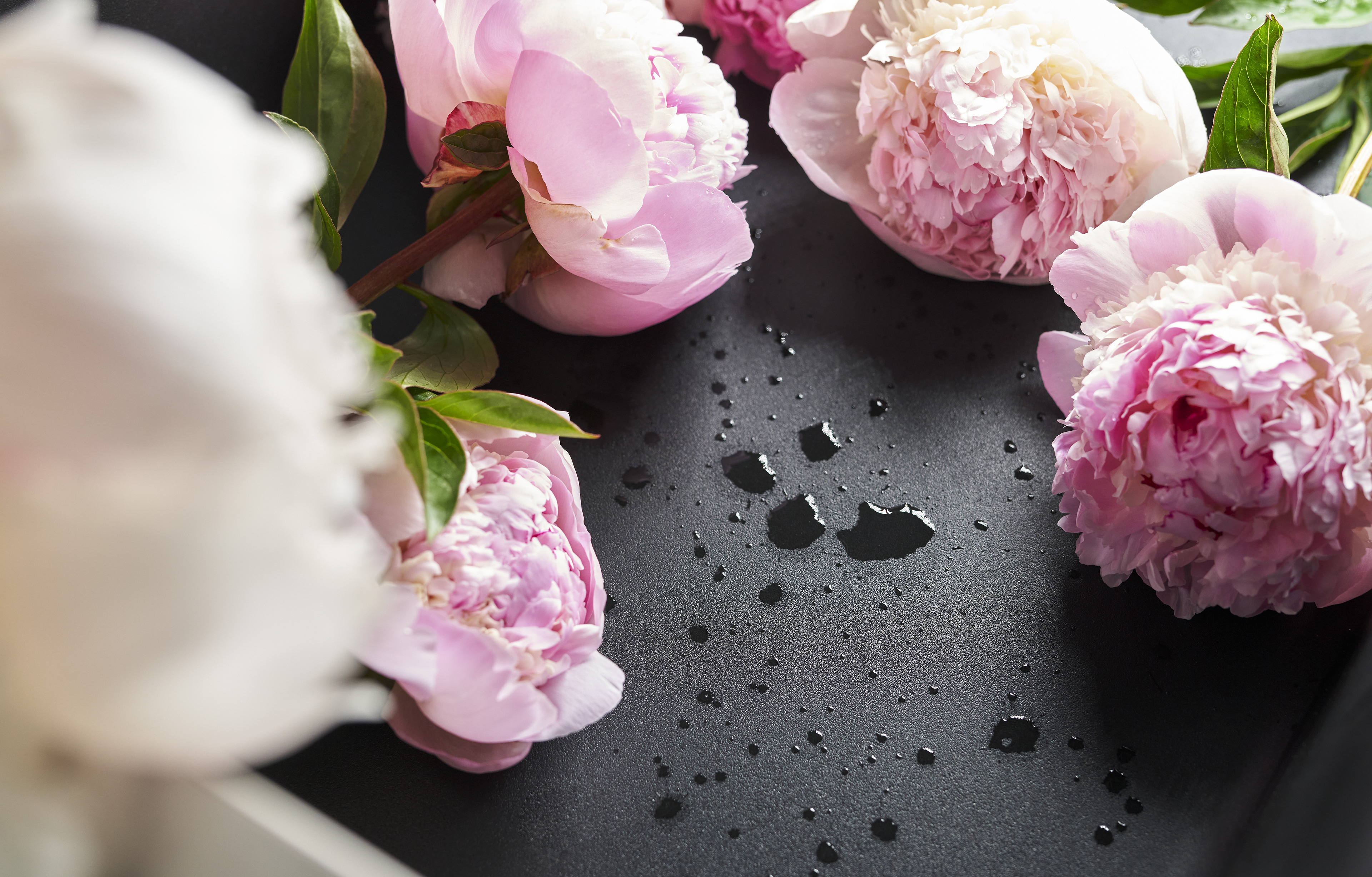 smooth, warm Silgranit sink