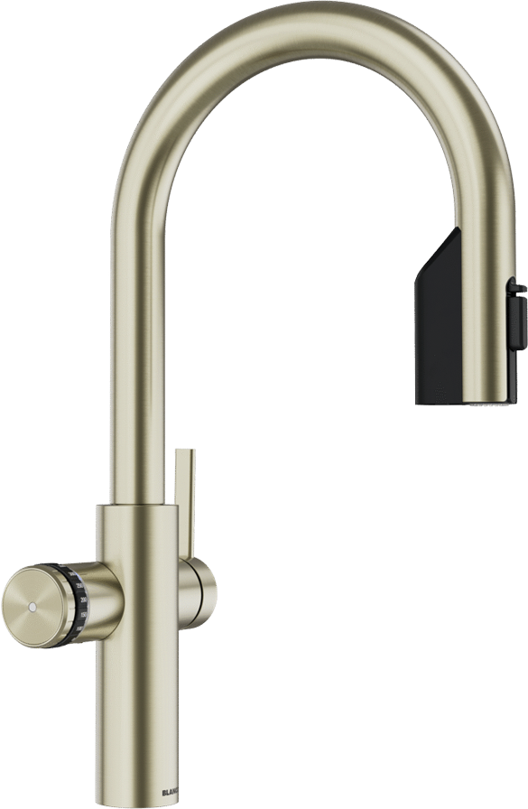 CHOICE Icona-C in Satin Gold