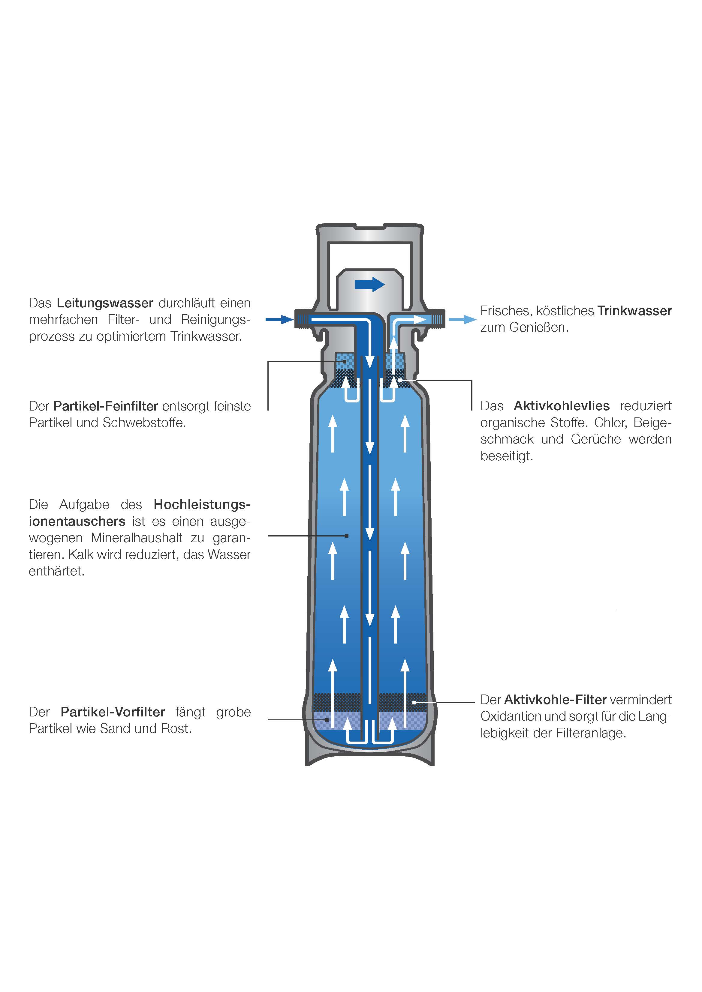 Filtre BWT : image de la section transversale